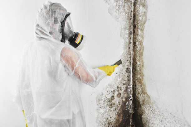 Best Mold Testing  in Shawnee, KS
