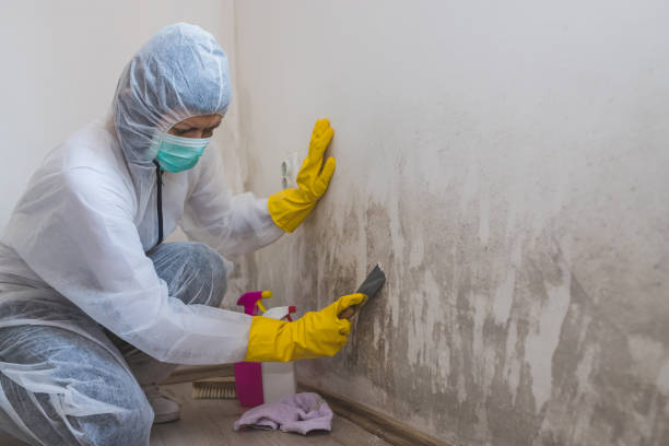 Best Crawl Space Mold Removal  in Shawnee, KS