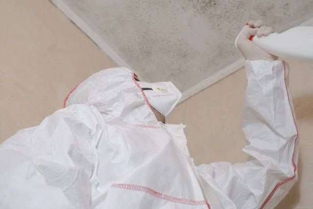 Best Mold Damage Repair  in Shawnee, KS